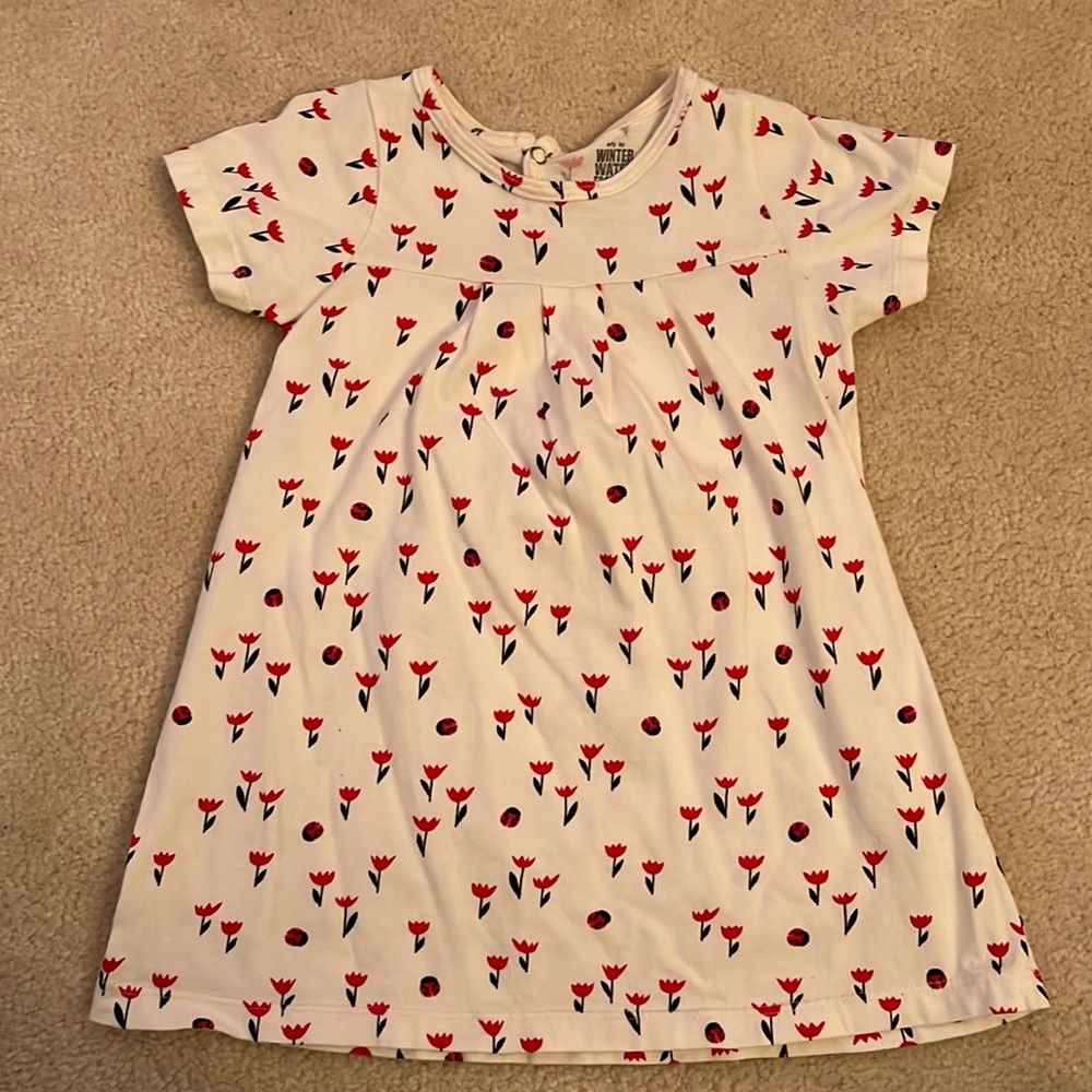 Winter Water Factory Ladybug dress